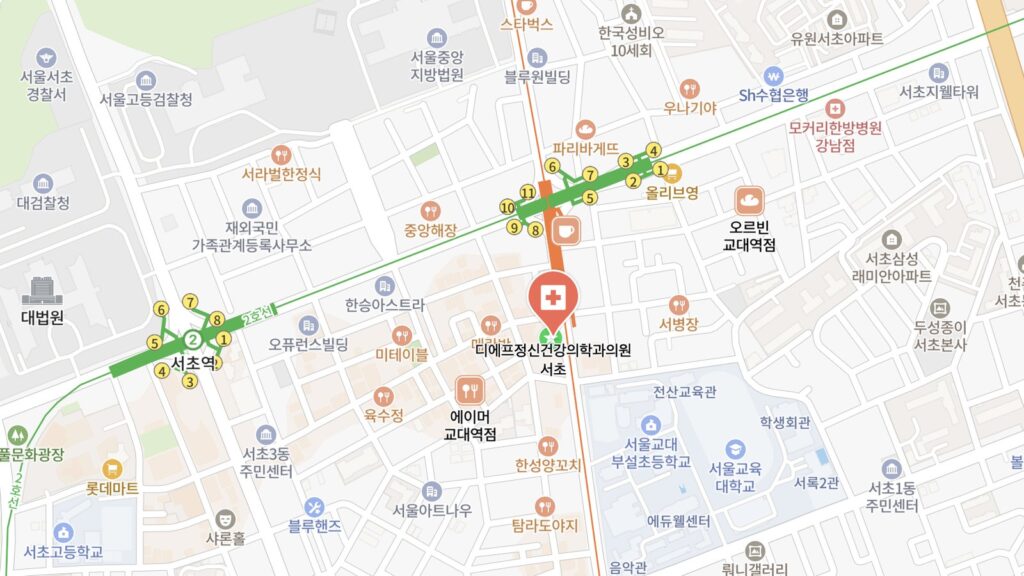 DF 정신건강의학과 서초점 위치 (네이버 지도)